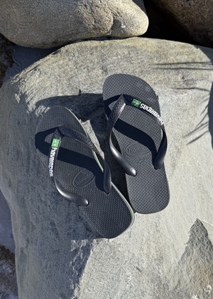 Hav. Brasil Logo sandal Black/Black Havaianas